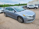 Hyundai SONATA 2016 — Copart