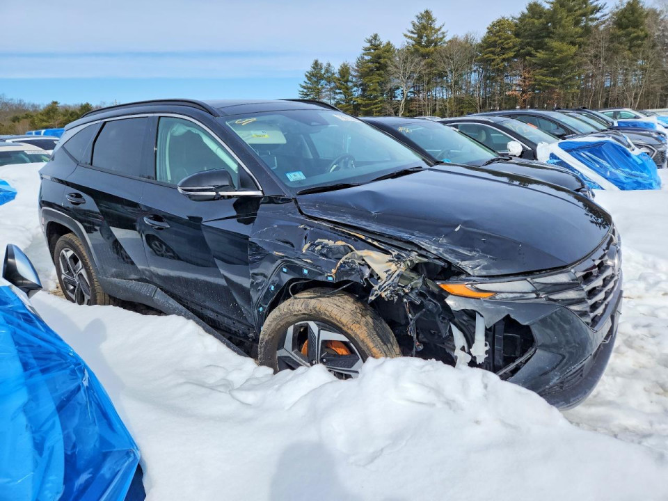 Hyundai TUCSON 2024 — Copart