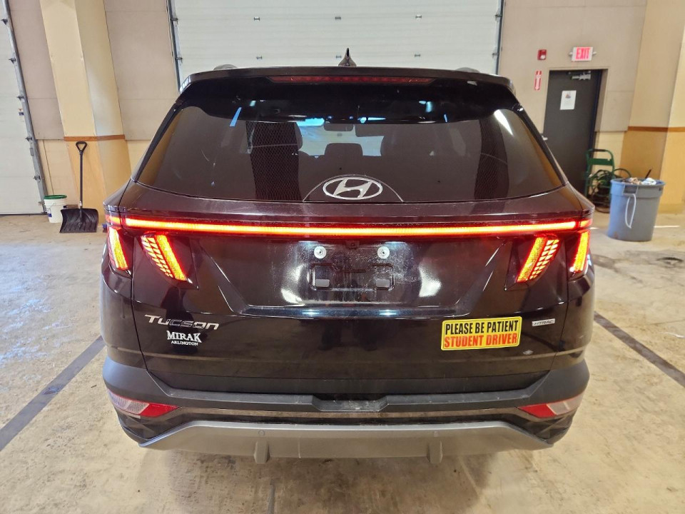 Hyundai TUCSON 2024 — Copart