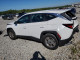 Hyundai TUCSON 2025 — Copart