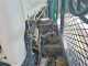 Isuzu NPR CREW CAB FLATBED TRUCK 2004 — Copart