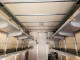Isuzu NPR 2013 — Copart