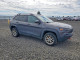 Jeep CHEROKEE 2020 — Copart