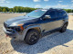 Jeep CHEROKEE 2015 — Copart