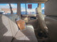 Jeep CHEROKEE 1993 — Copart