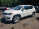 Jeep COMPASS 2019 — Copart