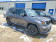 Jeep RENEGADE 2020 — Copart