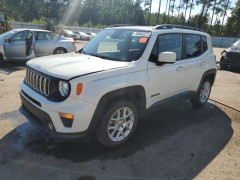 Jeep RENEGADE 2019 — Copart