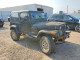 Jeep WRANGLER 1995 — Copart