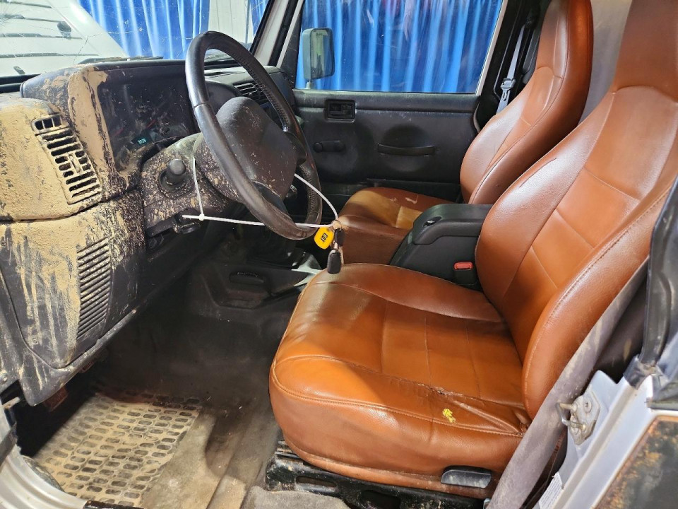 Jeep WRANGLER 2002 — Copart