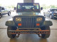 Jeep WRANGLER 1994 — Copart