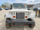 Jeep WRANGLER 1994 — Copart