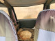 Jeep WRANGLER 1994 — Copart