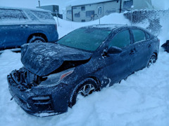Kia FORTE 2019