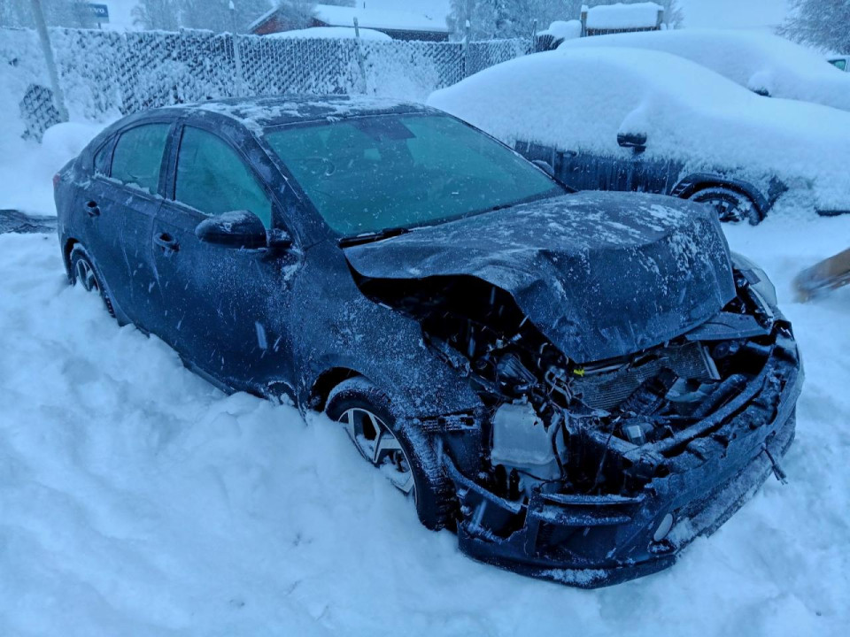 Kia FORTE 2019 — Copart
