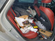 Kia K5 2021 — Copart