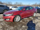 Kia OPTIMA 2013 — Copart