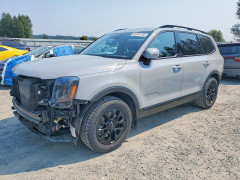 Kia TELLURIDE 2024 — Copart
