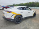 Lamborghini URUS PERFORMANTE 2024 — Copart