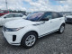 Land Rover RANGEROVER 2020 — Copart