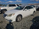 Lexus ES350 2011 — Copart