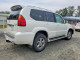 Lexus GX 2006 — Copart