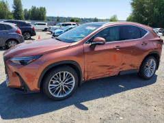 Lexus NX 350H LUXURY 2026 — Copart