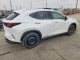 Lexus NX 2024 — Copart