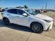Lexus NX 2024 — Copart