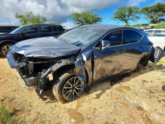 Lexus NX 2024 — Copart