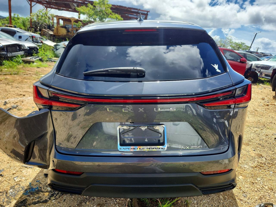 Lexus NX 2024 — Copart