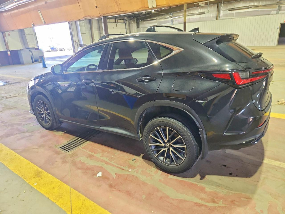 Lexus NX 2024 — Copart