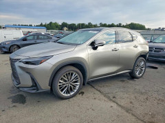 Lexus NX 2024 — Copart