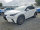 Lexus NX 2019 — Copart