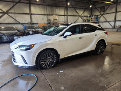 Lexus RX300 2023 — Copart