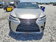 Lexus UX 250H 2020 — Copart