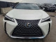 Lexus UX300H 2025 — Copart