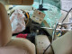 Lincoln MKX 2007 — Copart