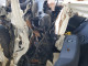 Mazda 3 2010 — Copart
