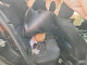 Mazda 3 2014 — Copart