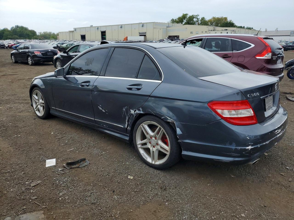Mercedes-Benz 300-CLASS 2010 — Copart