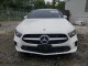 Mercedes-Benz A-CLASS 2020 — Copart