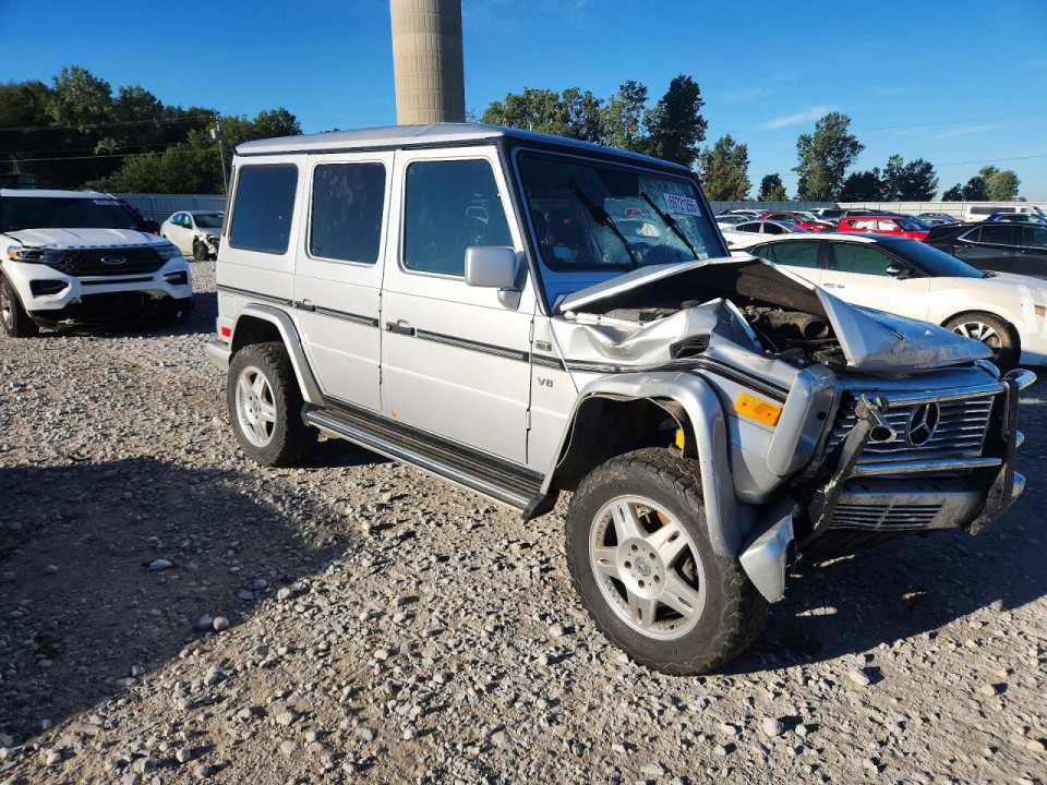 Mercedes-Benz G-CLASS 2002 — Copart