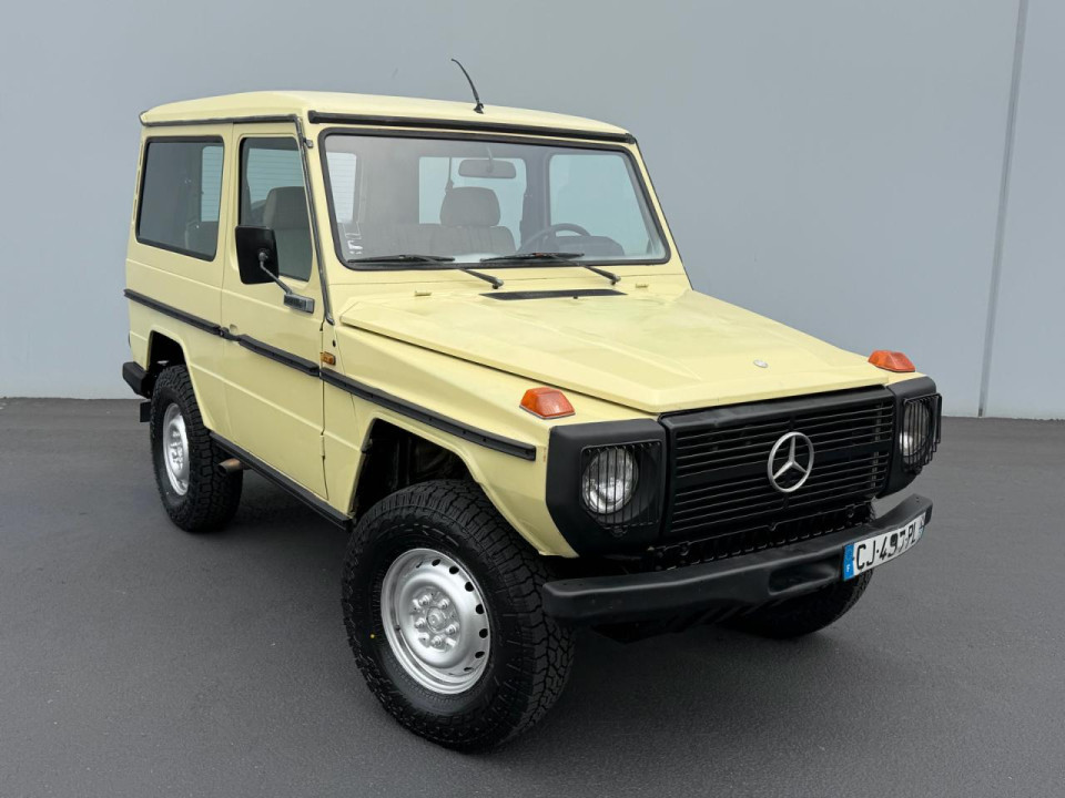 Mercedes-Benz G-CLASS 1983 — Copart