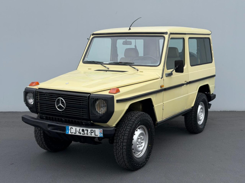 Mercedes-Benz G-CLASS 1983 — Copart