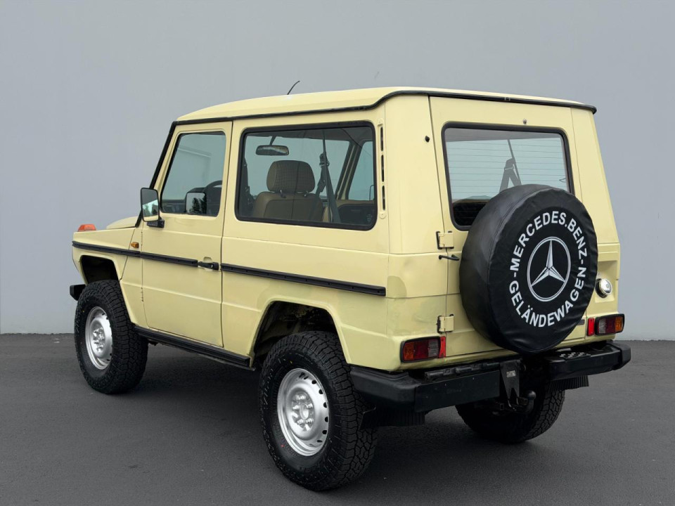 Mercedes-Benz G-CLASS 1983 — Copart