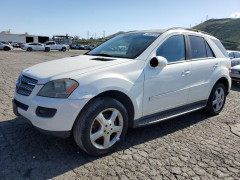 Mercedes-Benz M-CLASS 2007 — Copart