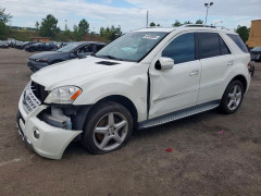 Mercedes-Benz M-CLASS 2009 — Copart