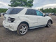 Mercedes-Benz M-CLASS 2009 — Copart