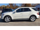 Mercedes-Benz M-CLASS 2010 — Copart